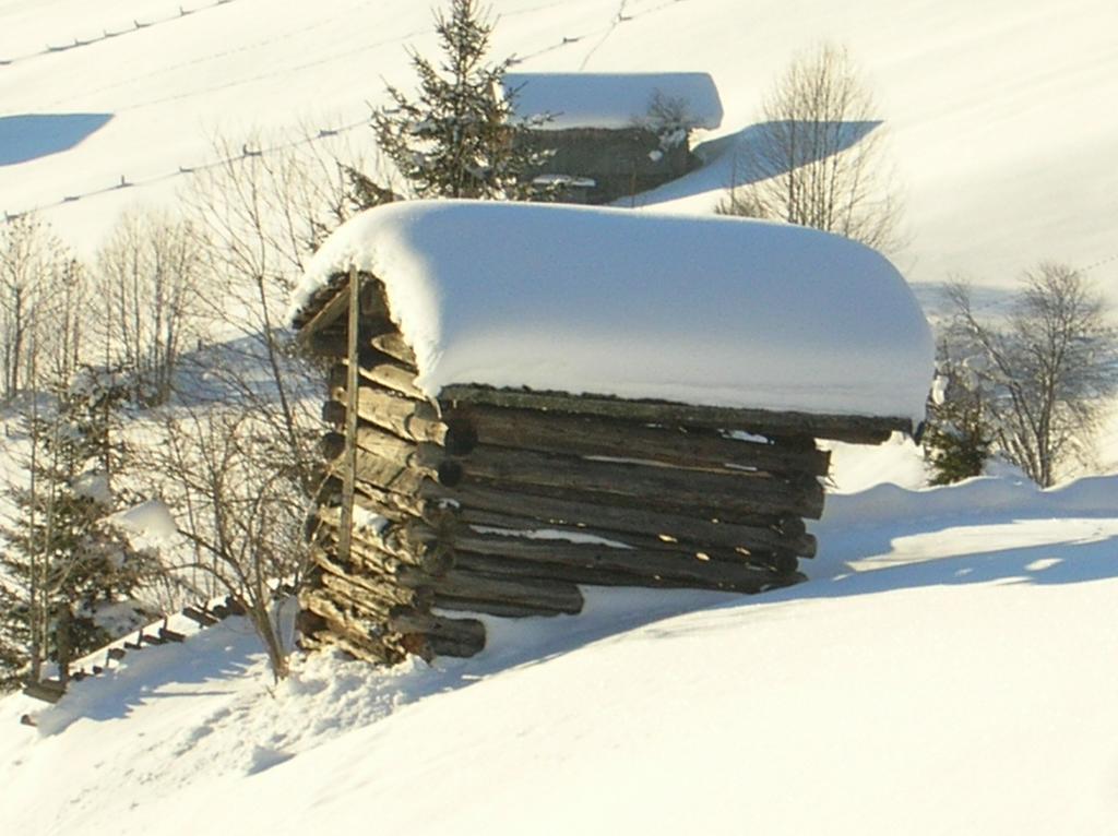 Apartmán Haus Konrad Reith im Alpbachtal Exteriér fotografie